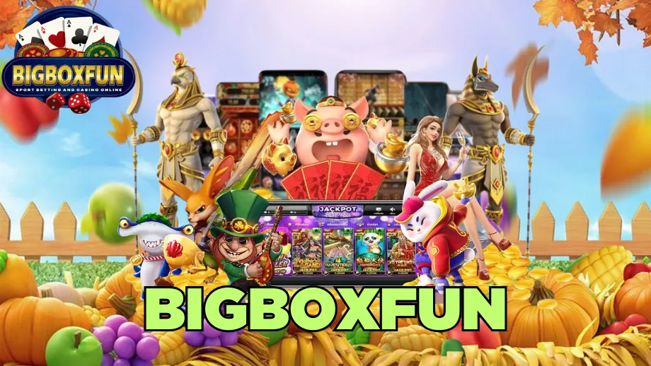 bigboxfun